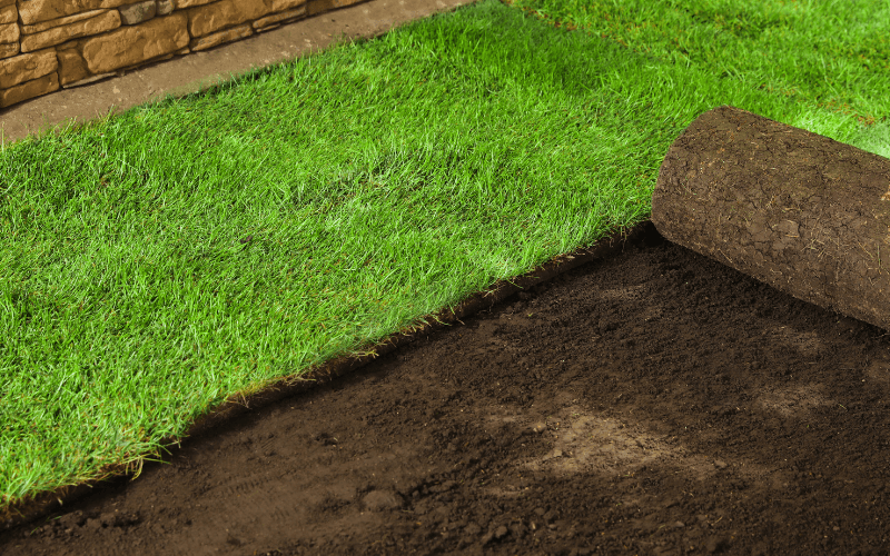 Sod Installation Services in Lexington, OH