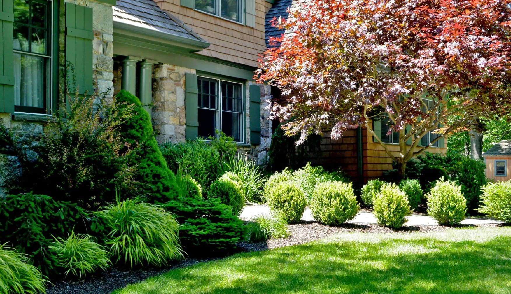 Tree & Shrub Planting Services in Lexington, OH