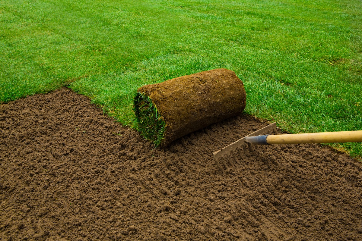 Sod Installation project 2