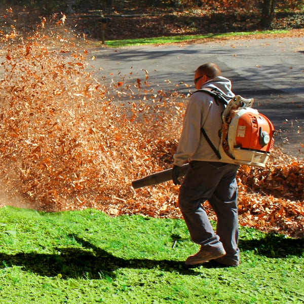 Leaf Removal in Ashland project 3