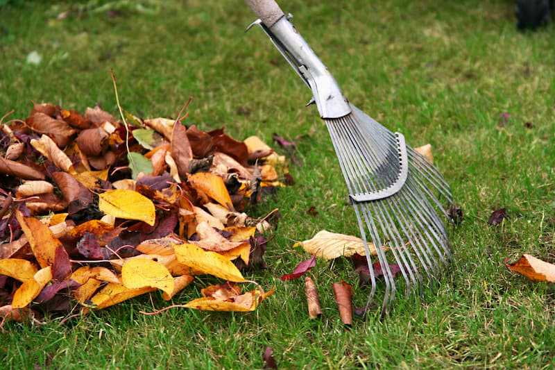 Leaf Removal in Ashland project 4