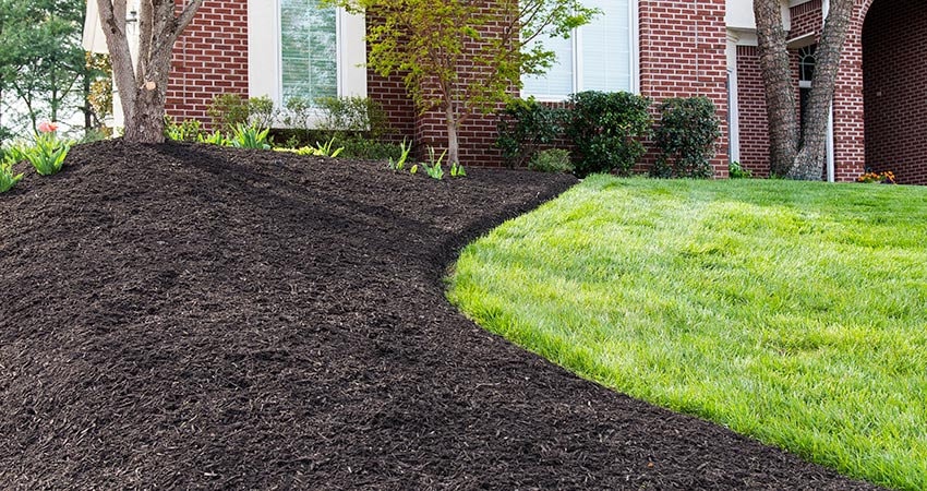 Mulch Installation project 1